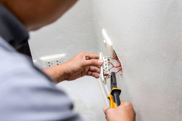 Best Ceiling Fan Installation Electrician  in Gibraltar, MI